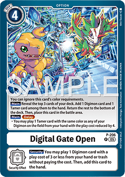 Digital Gate Open (P-206) Immagine principale del prodotto