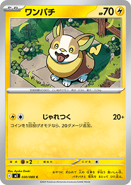 Yamper Immagine principale del prodotto