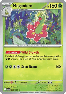 Meganium Immagine principale del prodotto
