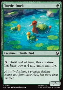 Turtle-Duck Immagine principale del prodotto
