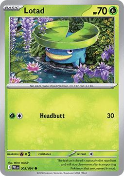 Lotad Immagine principale del prodotto