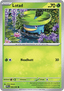 Lotad
