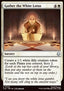Gather the White Lotus