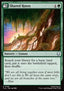 Shared Roots