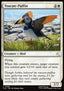 Toucan-Puffin