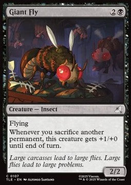 Giant Fly