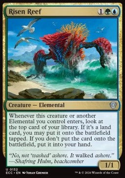Risen Reef Immagine principale del prodotto