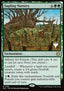 Sapling Nursery