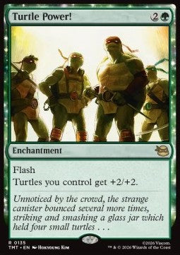 Turtle Power! Immagine principale del prodotto