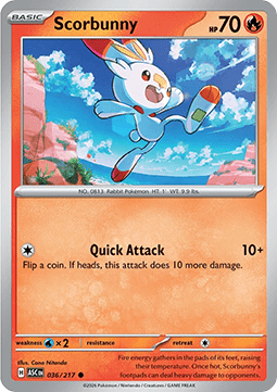 Scorbunny Immagine principale del prodotto
