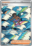 Surfer