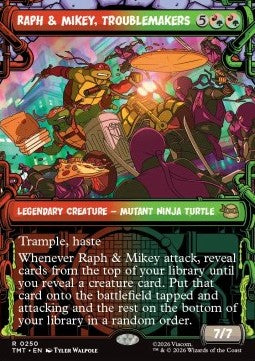 Raph & Mikey, Troublemakers Immagine principale del prodotto