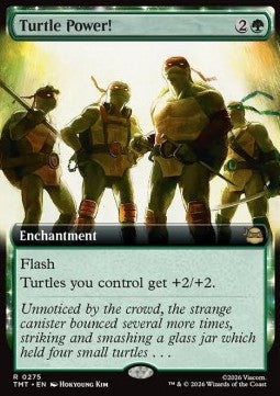 Turtle Power! Immagine principale del prodotto
