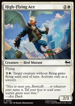 High-Flying Ace Immagine principale del prodotto