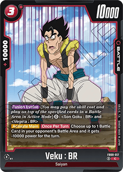 Veku : BR (FB09-017) [Fusion World] Immagine principale del prodotto