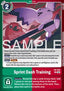 Sprint Dash Training (LM-055)