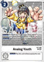 Analog Youth (EX1-066) (V.1)