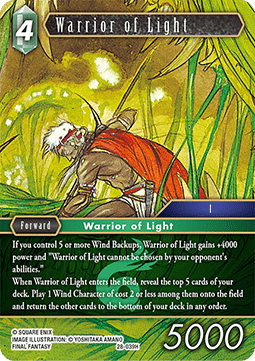 Warrior of Light (28-039) Immagine principale del prodotto