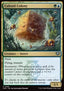Cuboid Colony