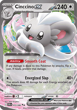 Cinccino ex Immagine principale del prodotto