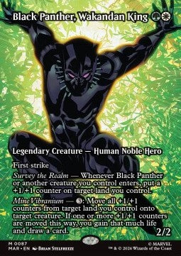 Black Panther, Wakandan King Immagine principale del prodotto