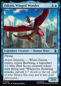 Falcon, Winged Wonder Immagine principale del prodotto