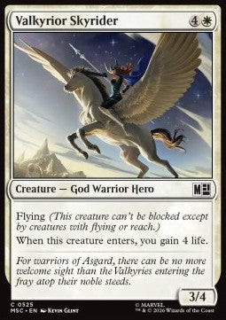 Valkyrior Skyrider Immagine principale del prodotto