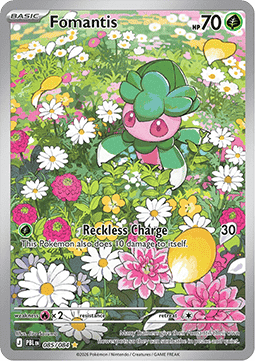 Fomantis Immagine principale del prodotto