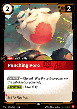 Punching Poro Immagine principale del prodotto