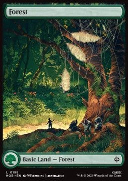 Forest Immagine principale del prodotto
