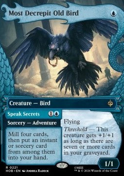 Most Decrepit Old Bird // Speak Secrets (V.1) Immagine principale del prodotto