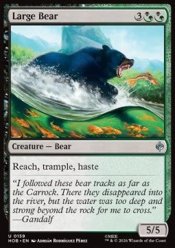 Large Bear Immagine principale del prodotto