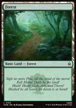 Forest (V.1) Immagine principale del prodotto