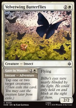Velvetwing Butterflies // Gaze in Wonder Immagine principale del prodotto