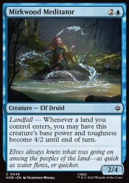 Mirkwood Meditator Immagine principale del prodotto