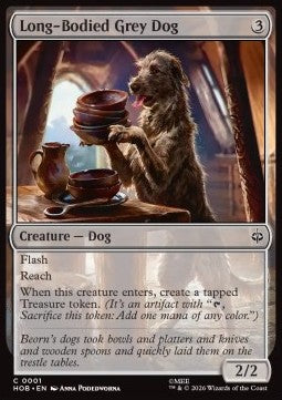 Long-Bodied Grey Dog Immagine principale del prodotto