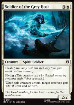 Soldier of the Grey Host Immagine principale del prodotto