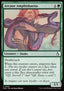 Arcane Amphisbaena