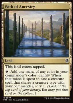Path of Ancestry Immagine principale del prodotto