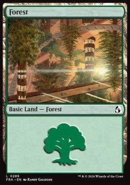 Forest (V.1)
