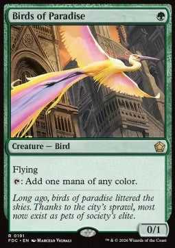 Birds of Paradise Immagine principale del prodotto
