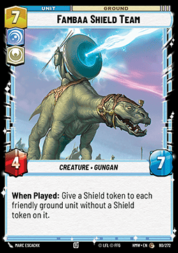Fambaa Shield Team Immagine principale del prodotto