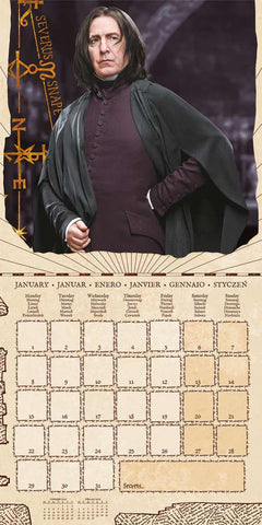 Harry Potter Magical 2024 Square Calendar