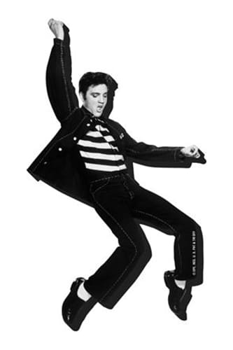 ELVIS JAILHOUSE Magnet Immagine principale del prodotto