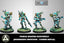 0599 Toha Kaauri Sentinels