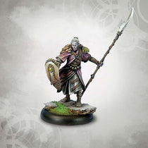 Drakerys Avaren Elves Awakened Hero