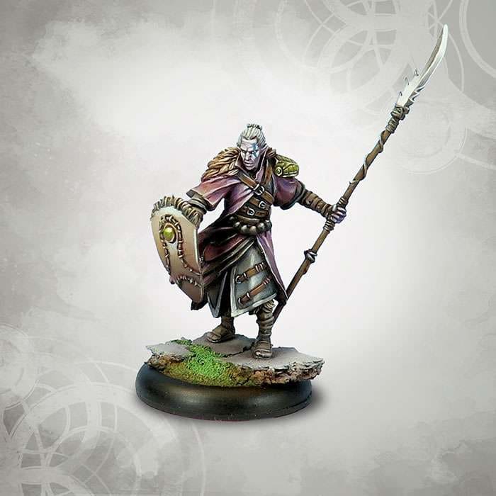 Drakerys Avaren Elves Awakened Hero