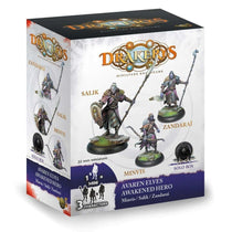 Drakerys Avaren Elves Awakened Hero