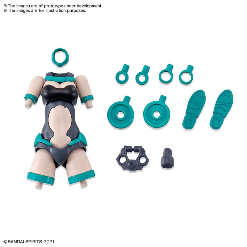 30MS Option Body Arts Type A01 Color B Immagine principale del prodotto