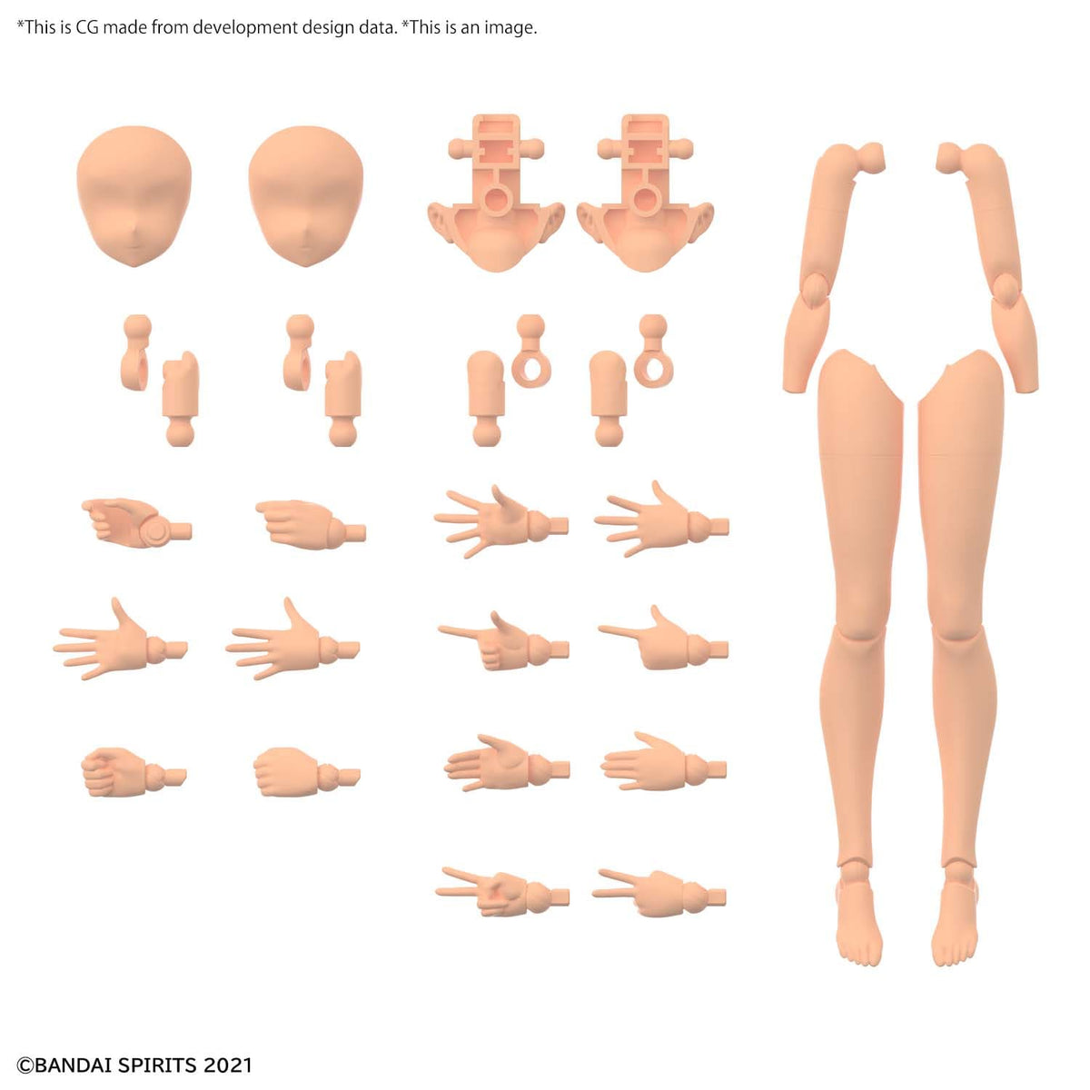30MS Op Body Parts Arm & Leg Color C Immagine principale del prodotto